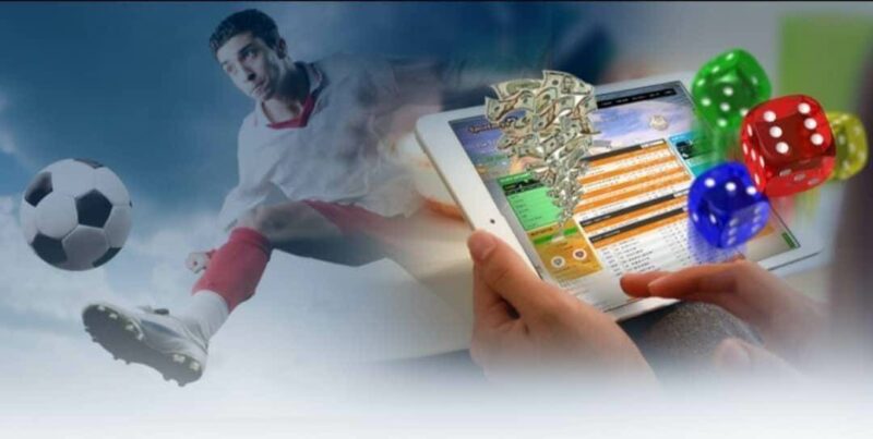 Website khoa học, hoạt động ổn định trên đa nền tảng