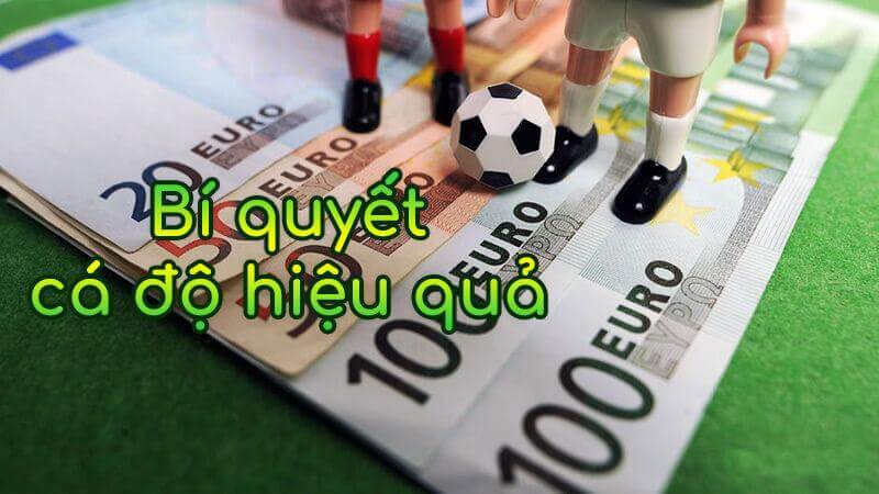 Kinh nghiệm cá cược thành công tại các nhà cái uy tín?